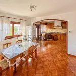 Rent 3 bedroom house of 293 m² in Estarreja