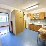 Rent 1 bedroom apartment of 33 m² in Křišťanovice