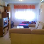 Rent 2 bedroom apartment in valencia