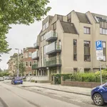 Rent 3 bedroom apartment in The Hague