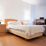 Rent 1 bedroom apartment in madrid