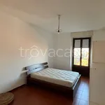 Rent 2 bedroom apartment of 55 m² in Milano