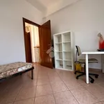 Rent 3 bedroom apartment of 70 m² in Pavia