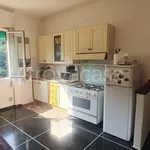 Rent 1 bedroom apartment of 40 m² in Genova