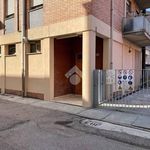 Rent 3 bedroom apartment of 100 m² in Ferrara