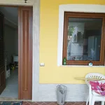 Rent 2 bedroom apartment of 50 m² in Veroli