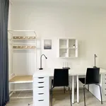 Rent 1 bedroom apartment in Brno