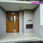 Rent 2 bedroom apartment of 59 m² in Chomutov