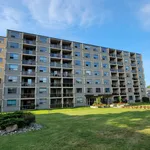 Rent 2 bedroom apartment in Kingston