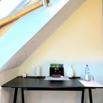 Rent 2 bedroom apartment of 100 m² in berlin