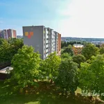 Rent 1 bedroom apartment of 33 m² in Brno