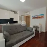 Rent 2 bedroom apartment of 60 m² in Milan