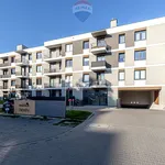 Rent 2 bedroom apartment of 47 m² in Poznan