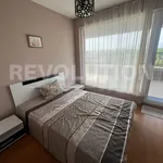 Rent 2 bedroom apartment of 65 m² in Каменица 1