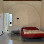 Rent 3 bedroom apartment of 100 m² in Pavia