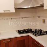 Rent 4 bedroom apartment of 80 m² in Casalecchio di Reno