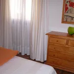 Rent 4 bedroom apartment in Palma de Mallorca