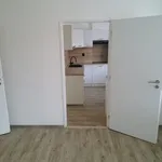 Rent 1 bedroom apartment of 60 m² in Chomutov