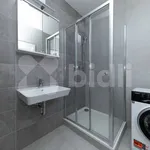 Rent 1 bedroom apartment in Brno