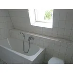 Rent 2 bedroom apartment of 44 m² in Dresden