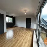 Rent 1 bedroom apartment in Ninove