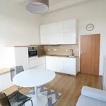 Rent 1 bedroom apartment in Písek