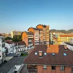 Rent 2 bedroom apartment of 65 m² in Torino