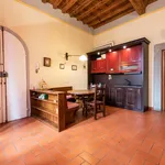 Rent 1 bedroom apartment in Florence