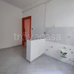 Rent 1 bedroom apartment of 40 m² in Trieste