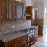 Rent 1 bedroom apartment of 55 m² in Pisa