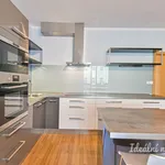 Rent 3 bedroom apartment of 81 m² in Brno