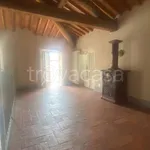 Rent 4 bedroom apartment of 100 m² in Lucca