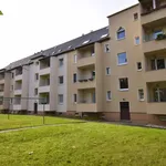 Rent 2 bedroom apartment of 48 m² in Chemnitz