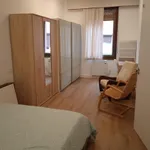 Rent 3 bedroom apartment in Bilbao