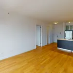 Rent 1 bedroom apartment of 60 m² in New York