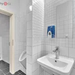 Rent 2 bedroom apartment of 80 m² in Litomyšl