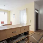 Rent 1 bedroom apartment of 66 m² in berlin