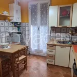 Rent 3 bedroom apartment of 60 m² in Biella