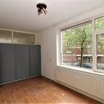 Huur 3 slaapkamer appartement van 85 m² in The Hague