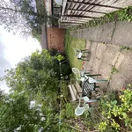 Rent 4 bedroom house in Worcester