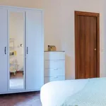 Rent 1 bedroom apartment in Rome