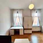 Rent 1 bedroom apartment of 35 m² in Dresden