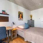 Rent a room in munich