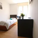 Rent 15 bedroom apartment in Madrid