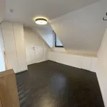 Rent 1 bedroom apartment in Antwerp