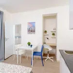 Studio o rozloze 23 m² v prague