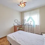 Rent 3 bedroom apartment of 78 m² in Oviedo