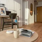 Rent 2 bedroom apartment of 44 m² in Wrocław