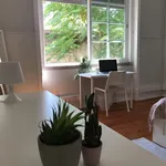 Rent 6 bedroom apartment in Lisbon