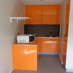 Rent 1 bedroom apartment in NANTES